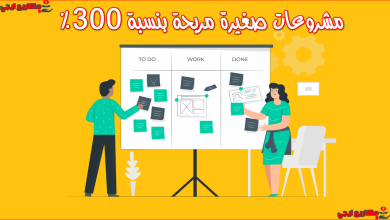 مشروعات صغيرة مربحة بنسبة 300