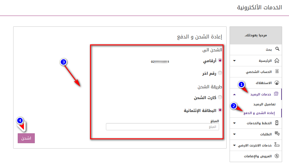 دفع فاتورة النت we