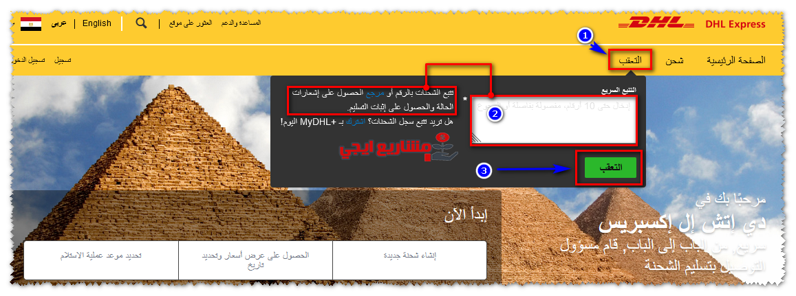 تتبع شحنة DHL مصر