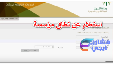 استعلام عن نطاق مؤسسة