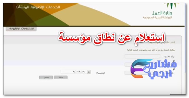 استعلام عن نطاق مؤسسة