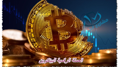 العملة الرقمية البيتكوين