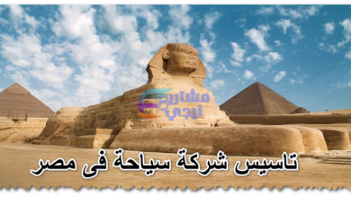 تاسيس شركة سياحة فى مصر