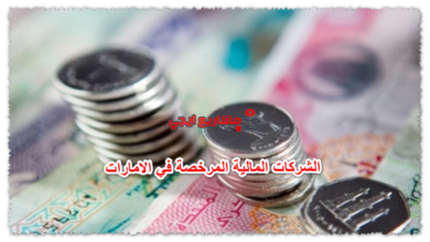 الشركات المالية المرخصة في الامارات