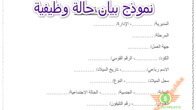 نموذج بيان حالة وظيفية