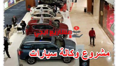 مشروع وكالة سيارات