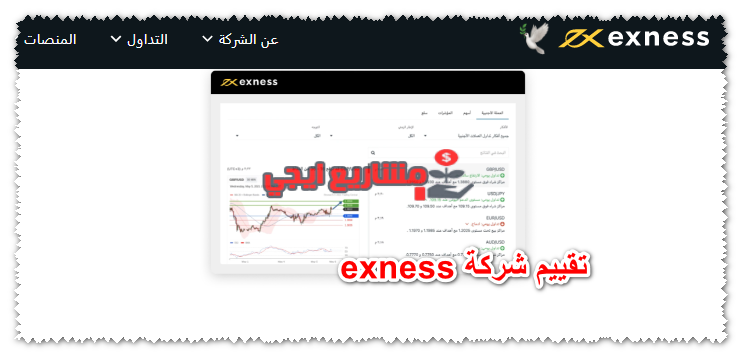 تقييم شركة exness