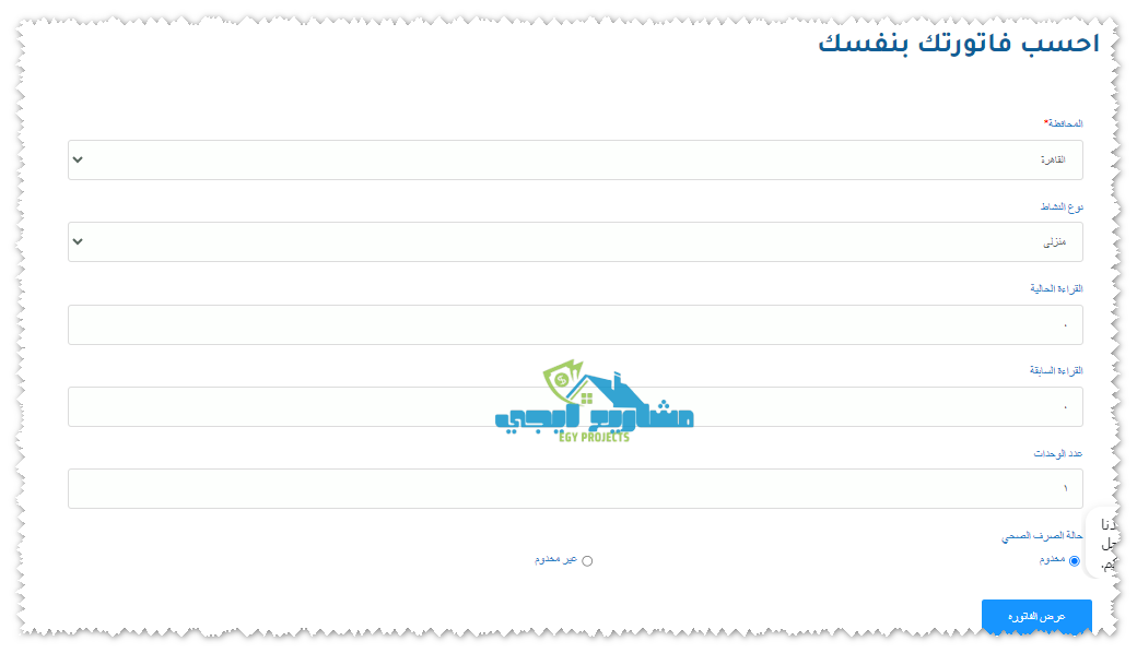 عرض الفاتورة