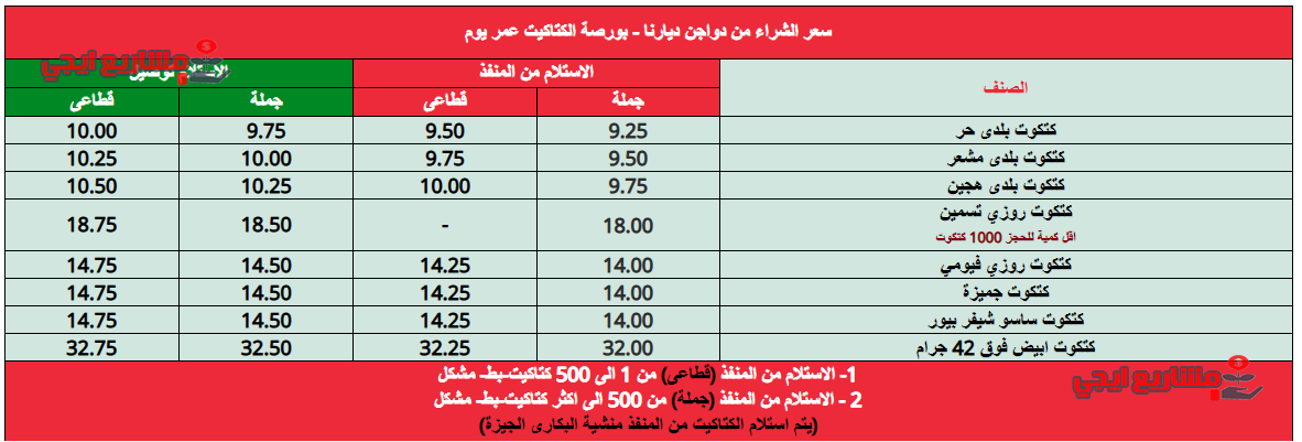 أسعار الكتاكيت في مصر