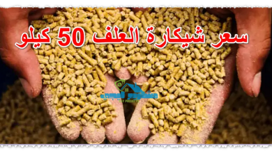 سعر شيكارة العلف 50 كيلو