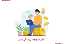 أكثر المجالات ربحا في مصر