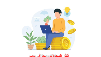 أكثر المجالات ربحا في مصر