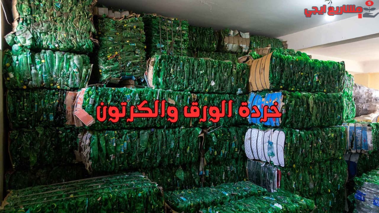 خردة الورق والكرتون