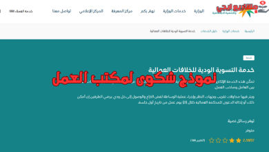 نموذج شكوى لمكتب العمل