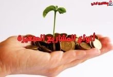أنواع المشاريع الصغيرة