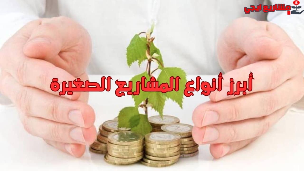أبرز أنواع المشاريع الصغيرة