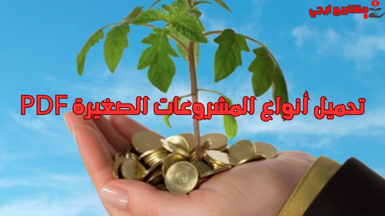 تحميل أنواع المشروعات الصغيرة PDF